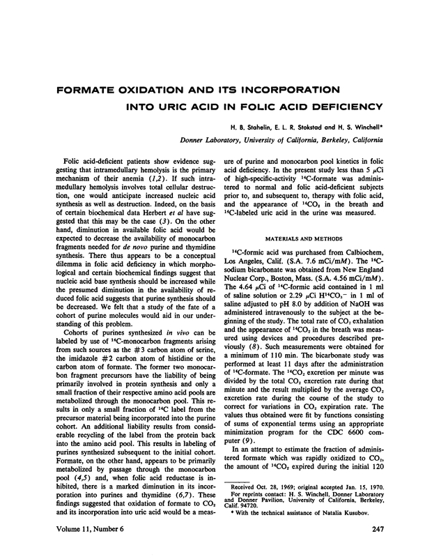 PDF extract preview