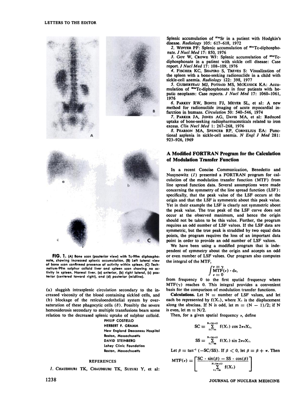 PDF extract preview