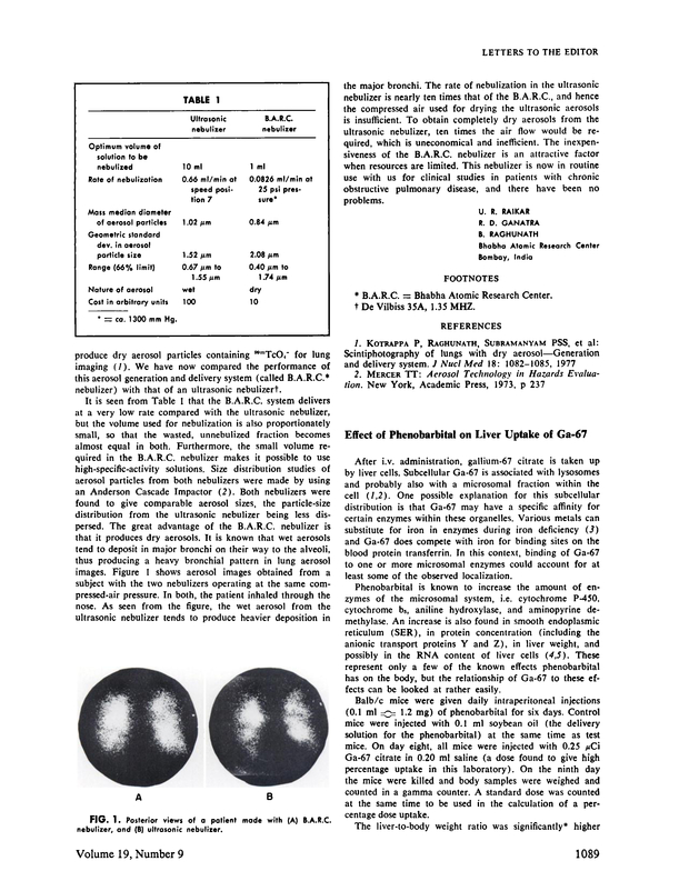 PDF extract preview
