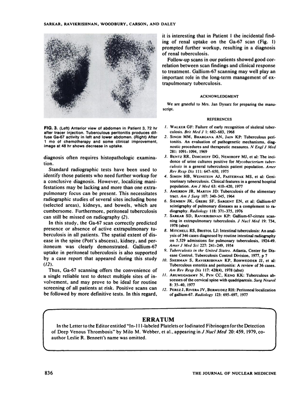 PDF extract preview