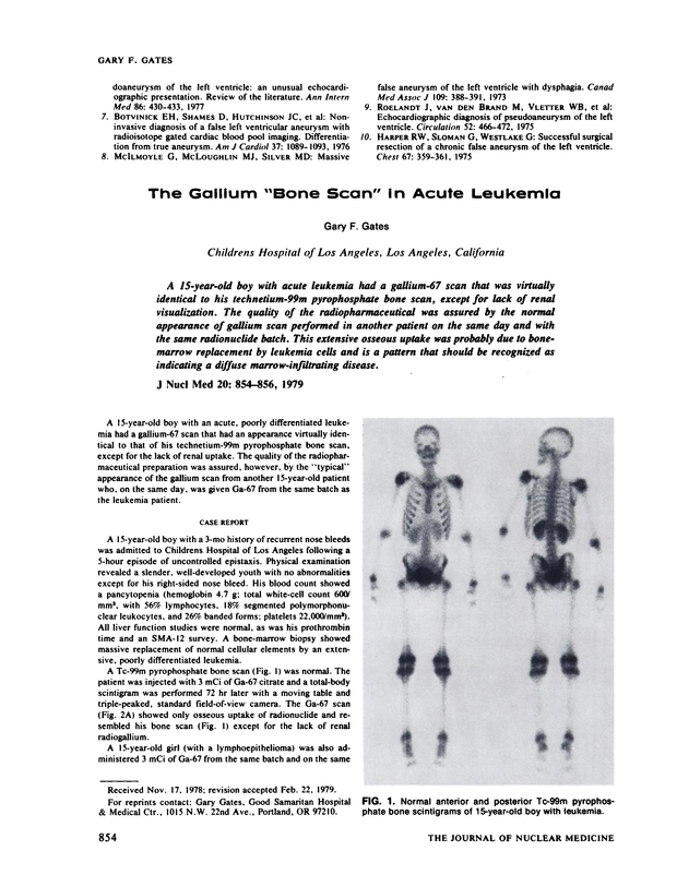PDF extract preview