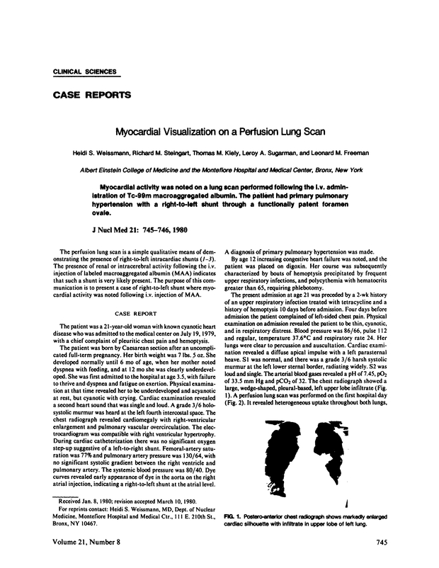 PDF extract preview