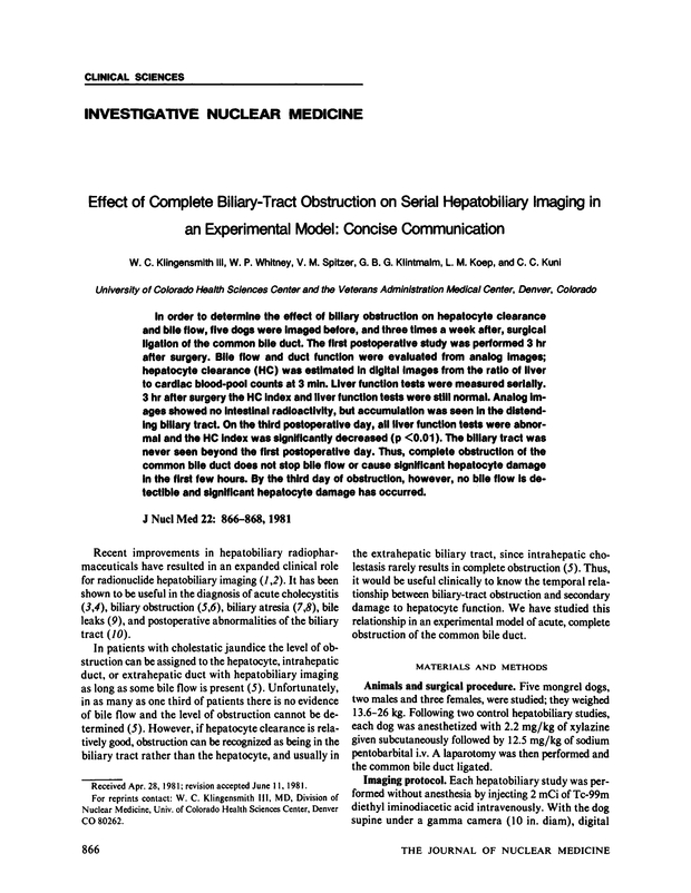 PDF extract preview