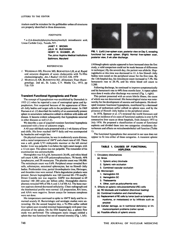 PDF extract preview