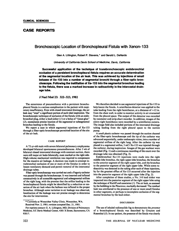 PDF extract preview
