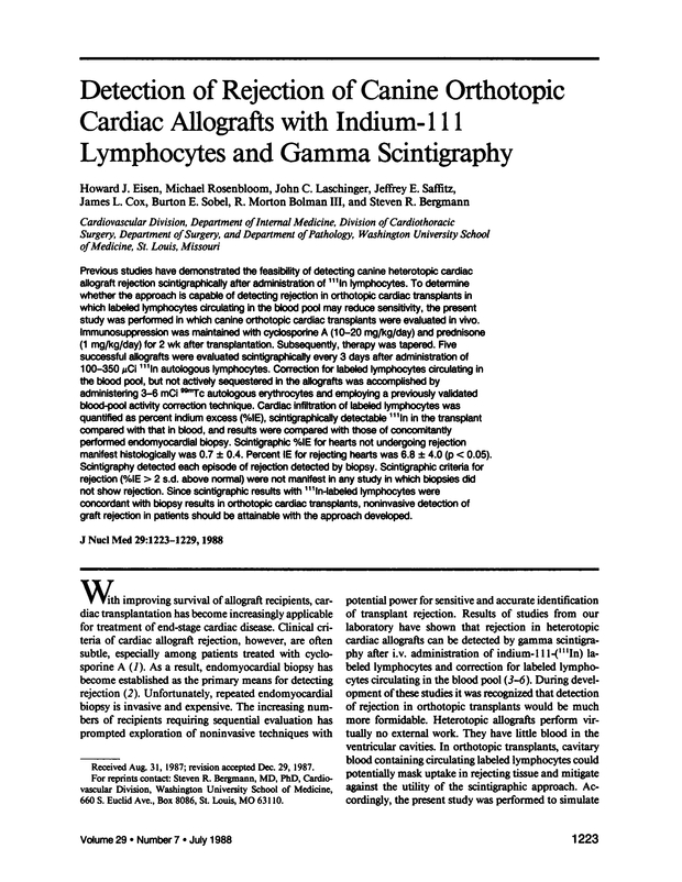 PDF extract preview
