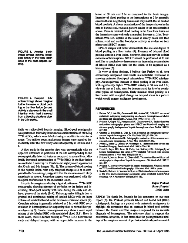 PDF extract preview
