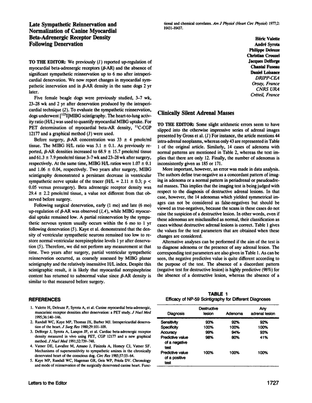 PDF extract preview