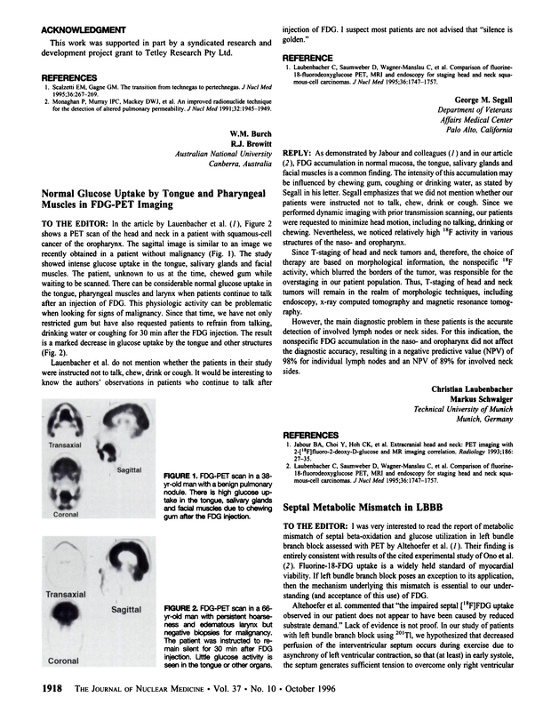 PDF extract preview