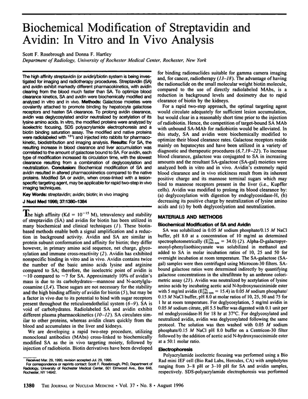 PDF extract preview