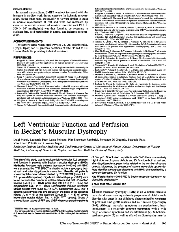 PDF extract preview