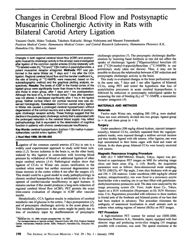 PDF extract preview