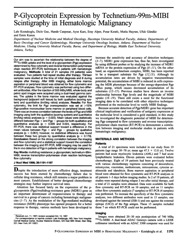 PDF extract preview