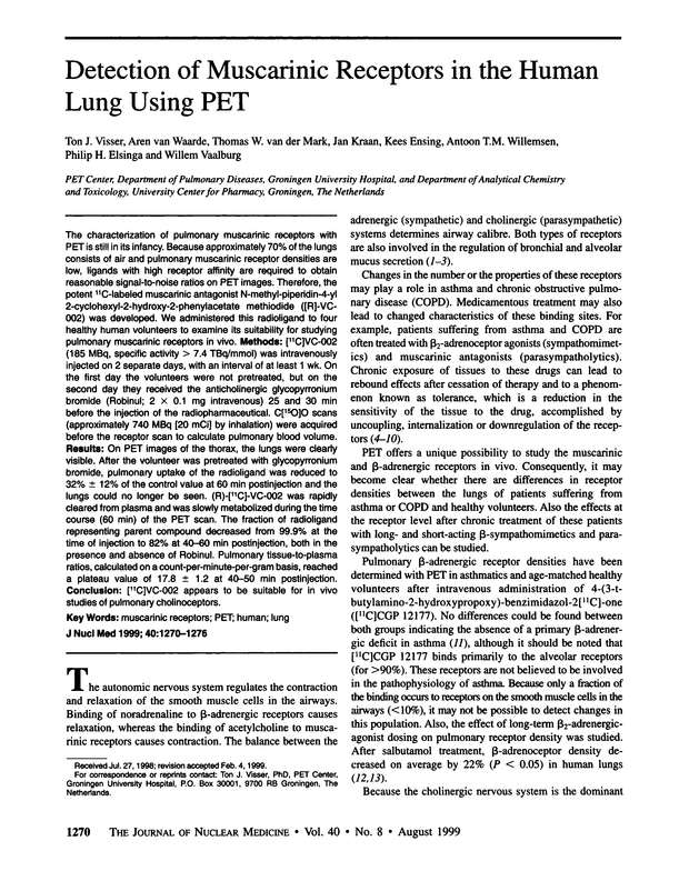 PDF extract preview
