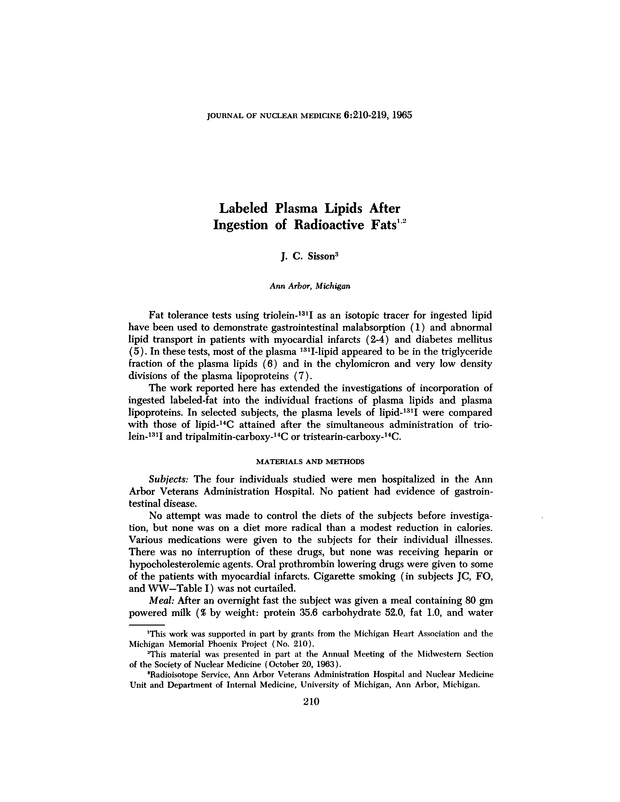 PDF extract preview