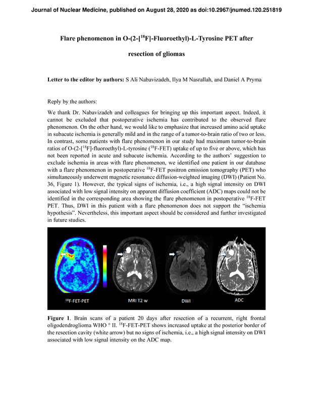 PDF extract preview
