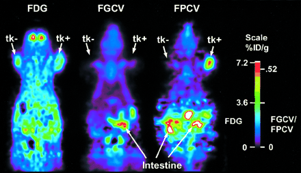 FIGURE 6.