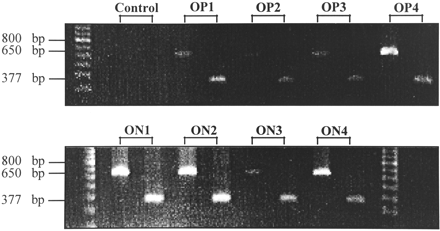 FIGURE 4.