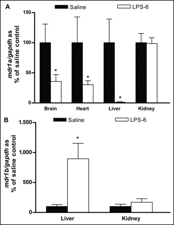 FIGURE 1.