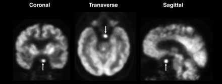 FIGURE 2. 