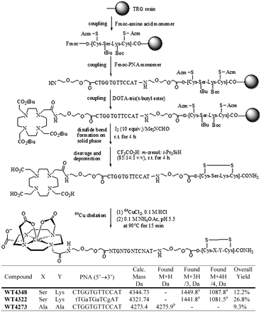 Scheme 1 