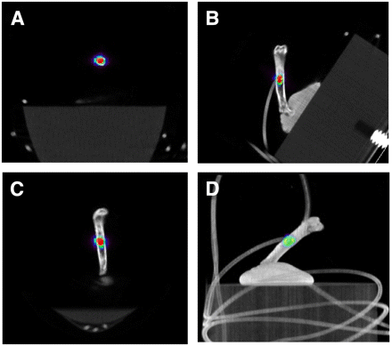 FIGURE 3. 