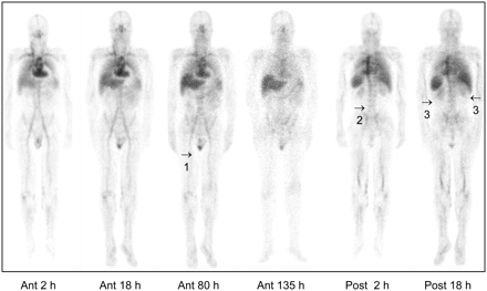 FIGURE 3. 