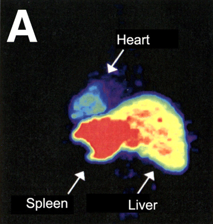 FIGURE 3. 