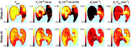 FIGURE 3. 