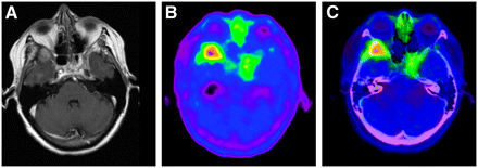 FIGURE 1. 