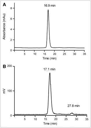 FIGURE 2. 