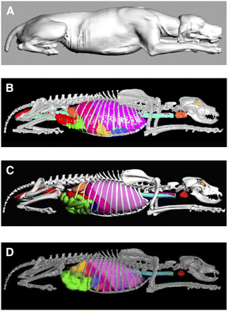 FIGURE 1. 