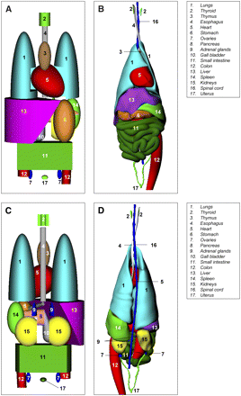 FIGURE 2. 