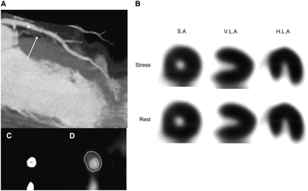 FIGURE 3. 