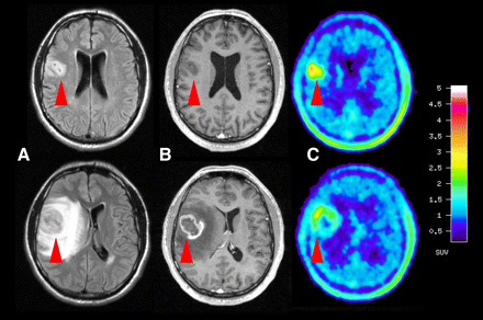 FIGURE 3. 