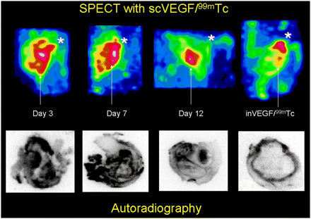 FIGURE 3. 