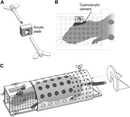 FIGURE 1. 