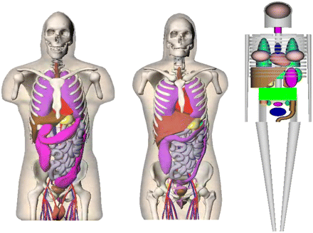 FIGURE 2. 