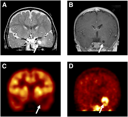 FIGURE 3. 