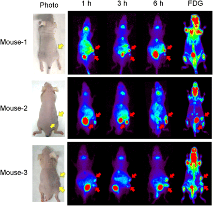 FIGURE 6.