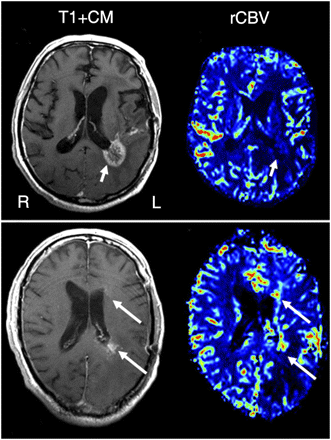 FIGURE 10.