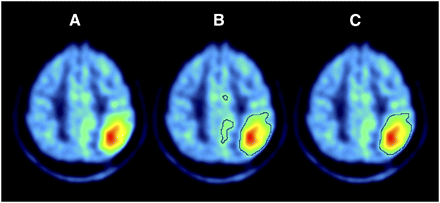 FIGURE 1.