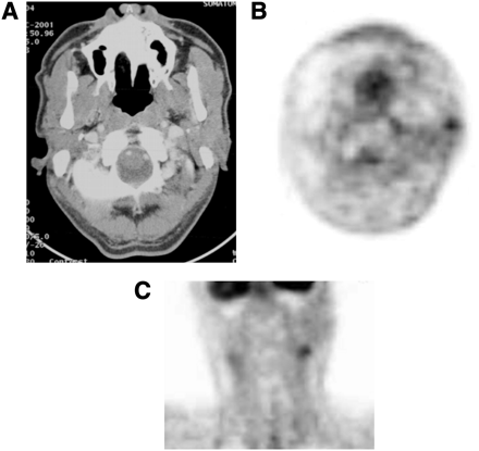 FIGURE 1.