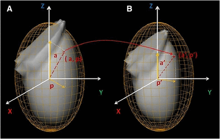 FIGURE 1.