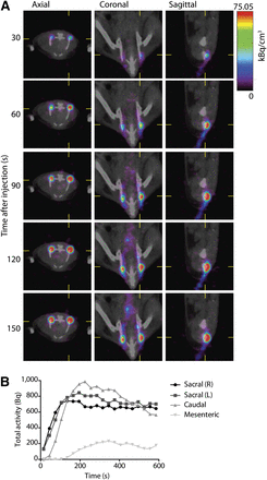 FIGURE 3.