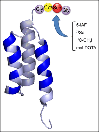 FIGURE 1.