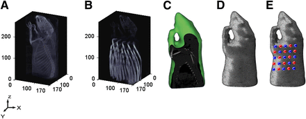 FIGURE 1.