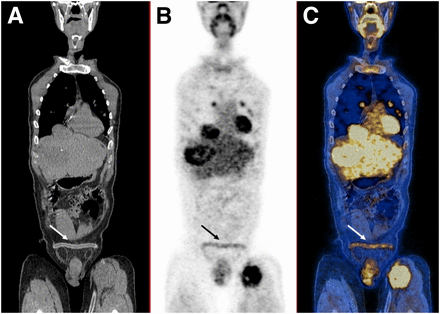 FIGURE 1.