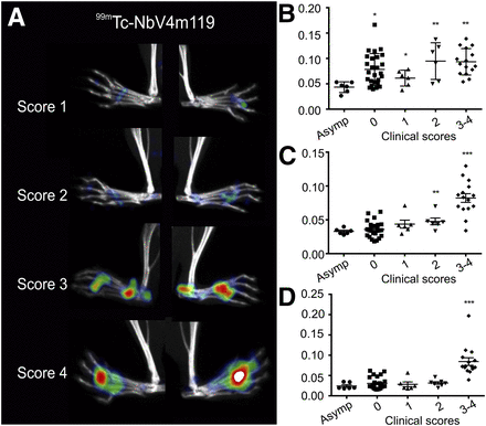 FIGURE 4.