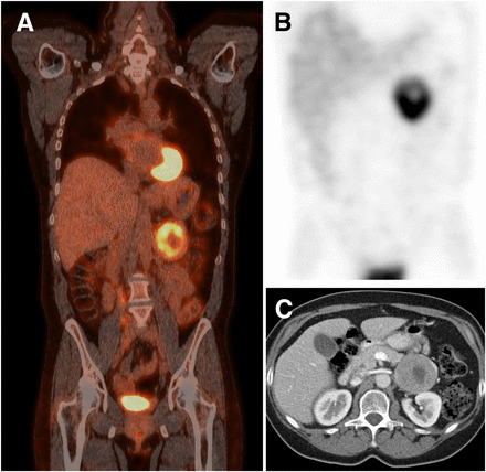 FIGURE 1.